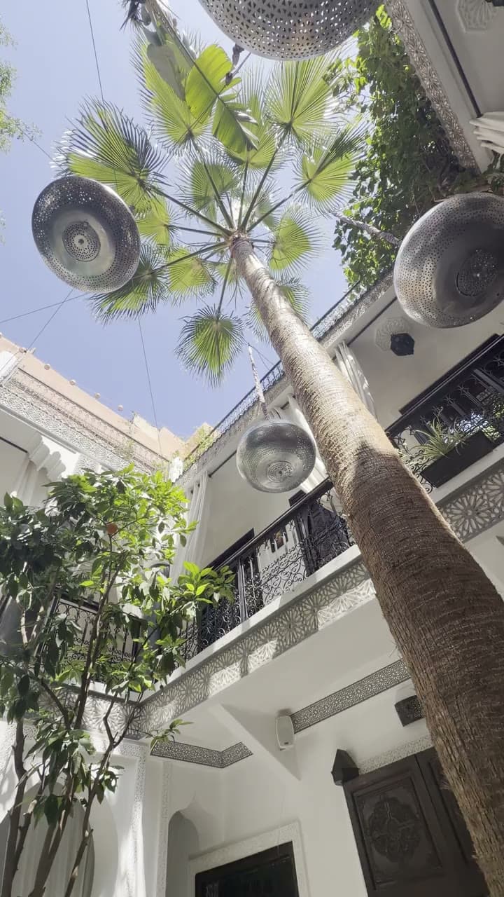 Le palmier du patio — Marrakech · riad, cœur de patio